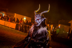 Photo by Sascha Fiala