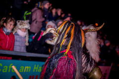 Photo by Sascha Fiala