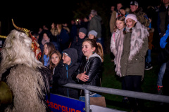 Photo by Sascha Fiala