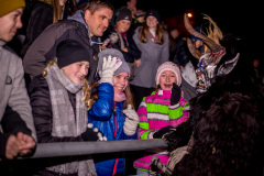 Photo by Sascha Fiala