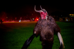 Photo by Sascha Fiala