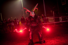 Photo by Sascha Fiala