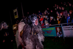 Photo by Sascha Fiala