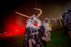 Photo by Sascha Fiala