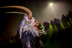 Photo by Sascha Fiala