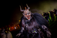 Photo by Sascha Fiala