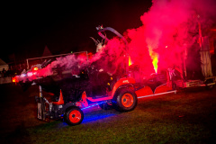 Photo by Sascha Fiala