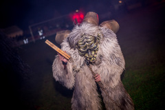 Photo by Sascha Fiala