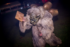 Photo by Sascha Fiala