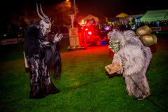 Photo by Sascha Fiala