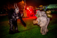 Photo by Sascha Fiala