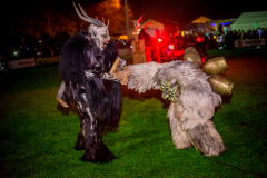 Photo by Sascha Fiala