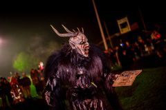 Photo by Sascha Fiala