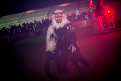 Photo by Sascha Fiala