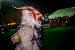 Photo by Sascha Fiala