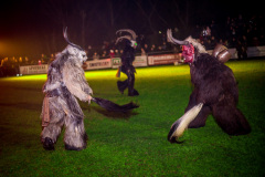 Photo by Sascha Fiala