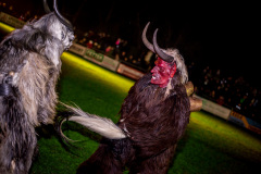 Photo by Sascha Fiala