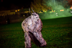 Photo by Sascha Fiala