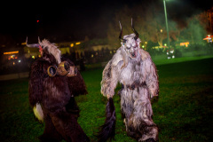 Photo by Sascha Fiala