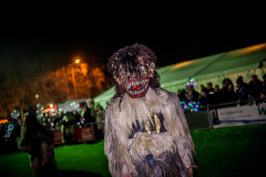 Photo by Sascha Fiala