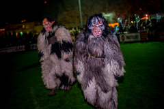 Photo by Sascha Fiala