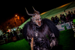 Photo by Sascha Fiala