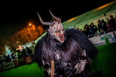 Photo by Sascha Fiala