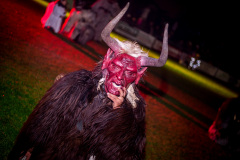 Photo by Sascha Fiala