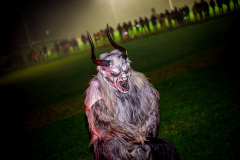 Photo by Sascha Fiala