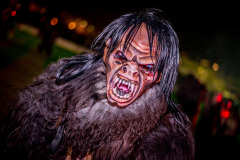 Photo by Sascha Fiala