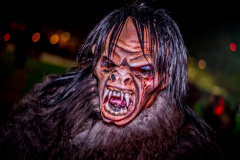 Photo by Sascha Fiala