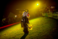 Photo by Sascha Fiala