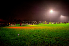 Photo by Sascha Fiala