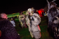 Photo by Sascha Fiala