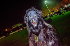 Photo by Sascha Fiala