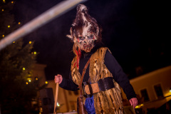 Photo by Sascha Fiala