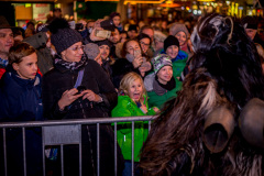 Photo by Sascha Fiala