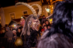 Photo by Sascha Fiala