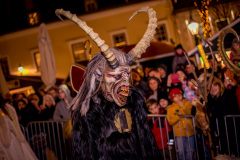 Photo by Sascha Fiala