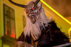 Photo by Sascha Fiala