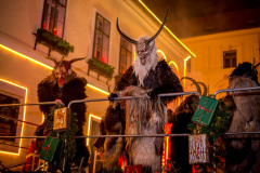 Photo by Sascha Fiala