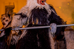 Photo by Sascha Fiala