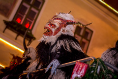 Photo by Sascha Fiala