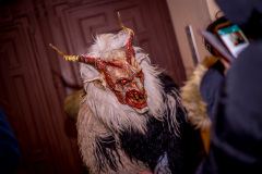 Photo by Sascha Fiala