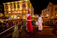 Photo by Sascha Fiala