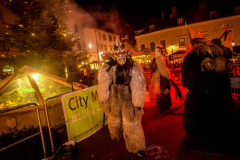 Photo by Sascha Fiala