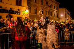 Photo by Sascha Fiala