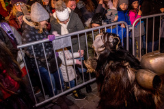 Photo by Sascha Fiala