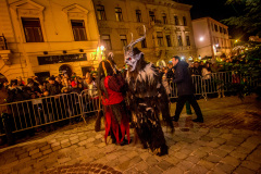 Photo by Sascha Fiala