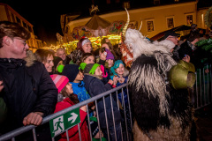 Photo by Sascha Fiala